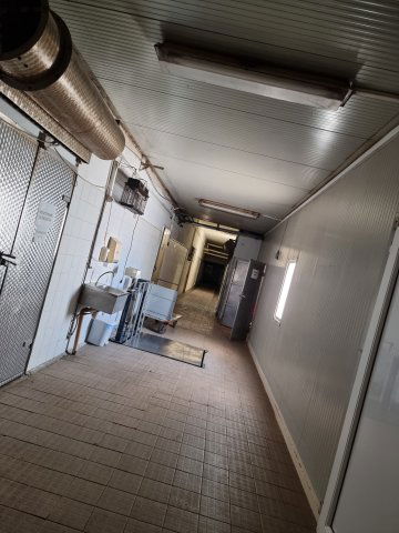 Eladó ipari ingatlan, Hódmezővásárhelyen 150 M Ft