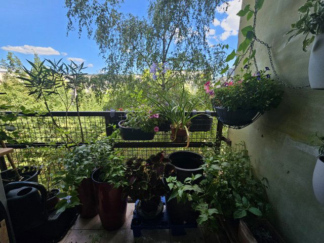 Eladó panellakás, Budapesten, XIII. kerületben 74.5 M Ft