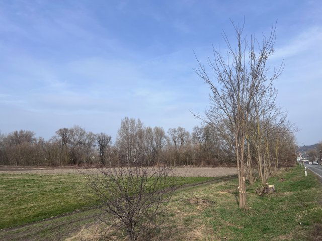 Eladó mezogazdasagi ingatlan, Esztergomban, Táti úton 6.9 M Ft