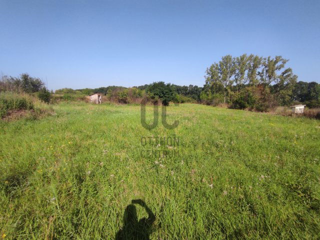 Eladó telek, Mezőnagymihályon 9 M Ft / költözzbe.hu