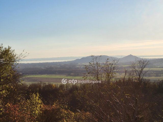 Eladó mezogazdasagi ingatlan, Gyulakeszin 19 M Ft