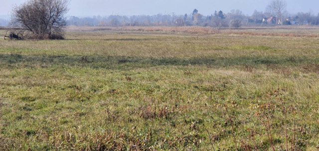 Eladó mezogazdasagi ingatlan, Balatonkeresztúron 5.5 M Ft