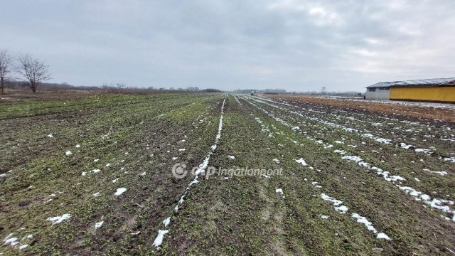 Eladó telek, Tiszakécskén 2.3 M Ft / költözzbe.hu