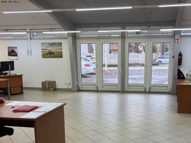 Kiadó ipari ingatlan, Békéscsabán, Kígyósi utcában, 9 szobás