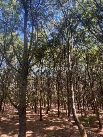 Eladó telek, Martfűn 13 M Ft / költözzbe.hu