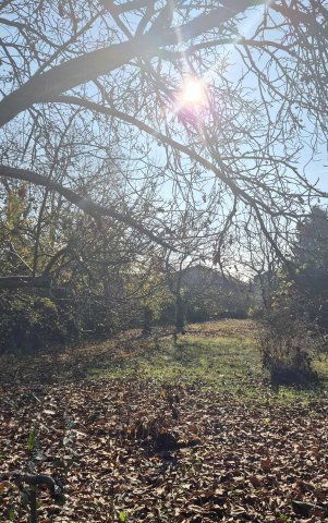 Eladó telek, Szolnokon 22.5 M Ft / költözzbe.hu