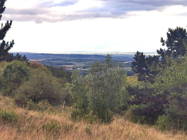 Eladó telek, Vácon 35 M Ft / költözzbe.hu