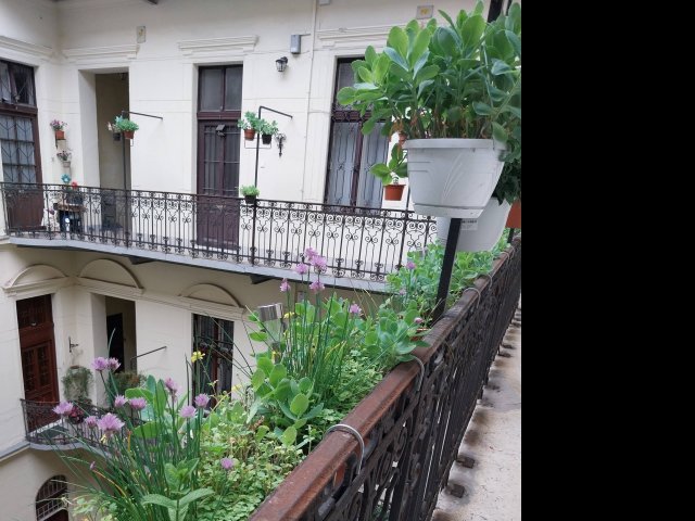 Kiadó téglalakás, albérlet, VI. kerületben, Bajza utcában