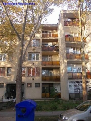 Kiadó téglalakás, albérlet, Hódmezővásárhelyen, 2 szobás