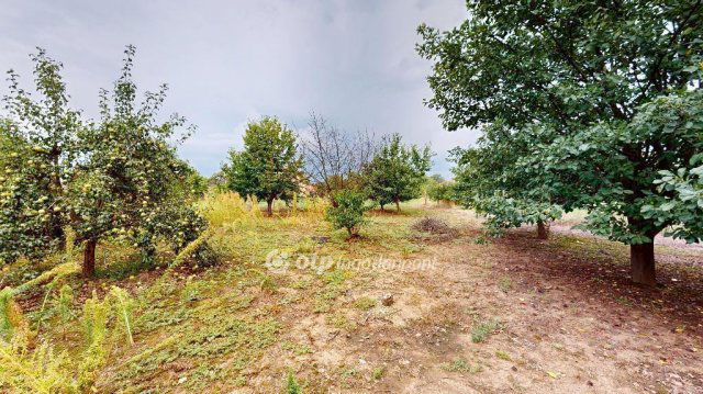 Eladó családi ház, Bükkábrányban 75 M Ft, 5 szobás