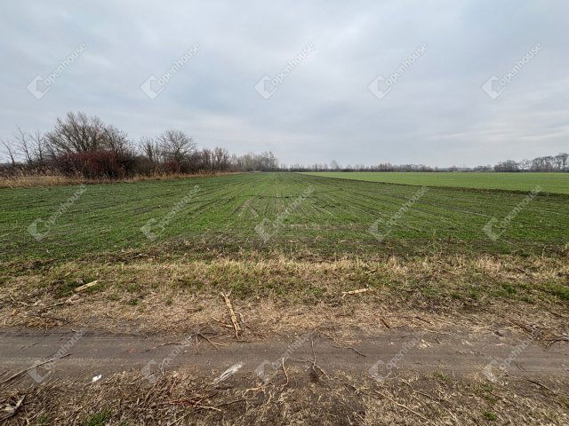 Eladó telek, Csévharaszton 100 M Ft / költözzbe.hu