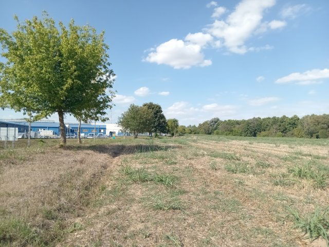 Eladó mezogazdasagi ingatlan, Kaposfőn 32 M Ft