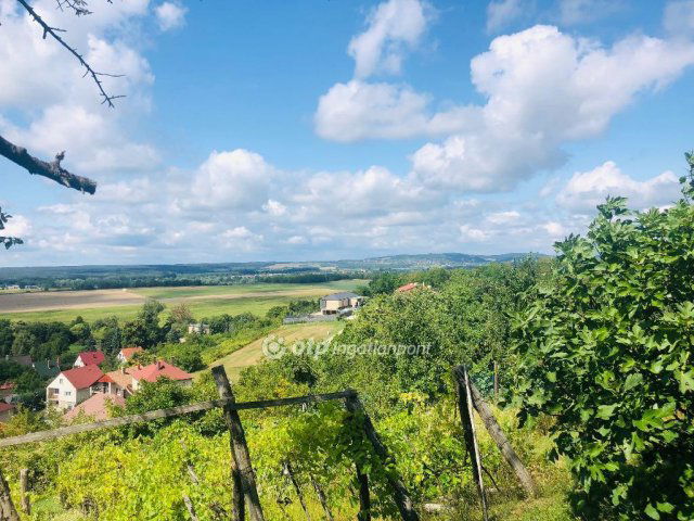 Eladó telek, Ajkán 23 M Ft / költözzbe.hu