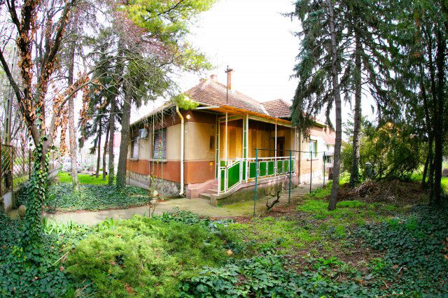 Kiadó családi ház, albérlet, Kecskeméten 190 E Ft / hó