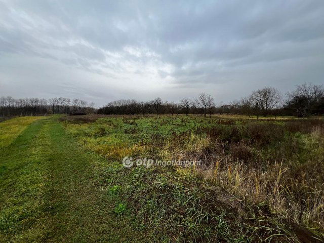 Eladó telek, Nyíregyházán 21.9 M Ft / költözzbe.hu