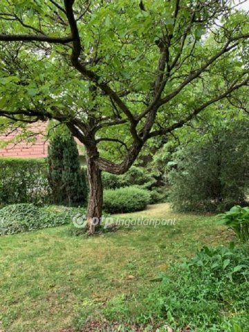 Eladó telek, Solymáron 64.9 M Ft / költözzbe.hu