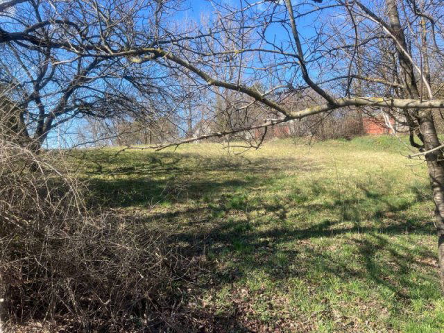 Eladó telek, Pilisjászfalun 60 M Ft / költözzbe.hu