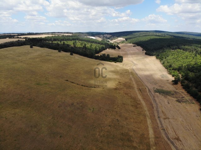 Eladó mezogazdasagi ingatlan, Aszódon 1120 M Ft