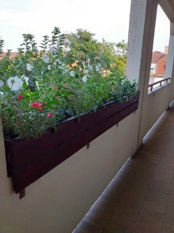 Kiadó panellakás, albérlet, Budapesten, XIV. kerületben