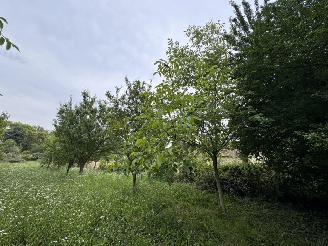 Eladó telek, Karádon 3 M Ft / költözzbe.hu