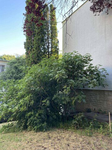 Eladó téglalakás, Pilisvörösváron 74 M Ft, 2+1 szobás