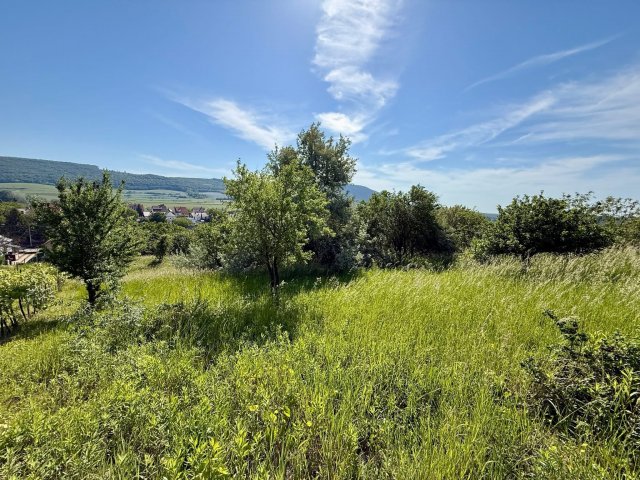 Eladó telek, Móron 5.9 M Ft / költözzbe.hu