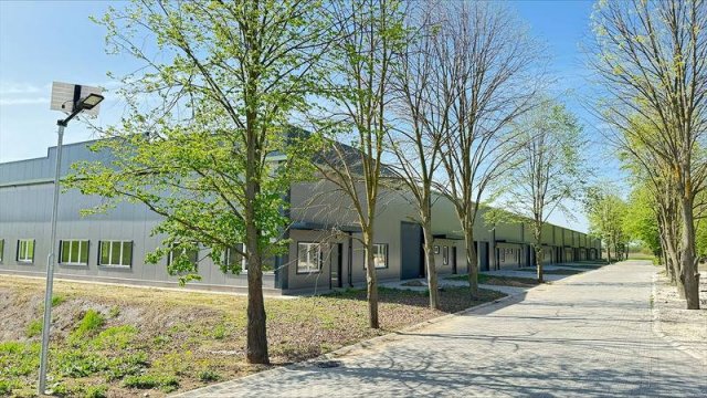 Eladó ipari ingatlan, Alsónémediben 131.404 M Ft