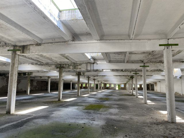 Eladó mezogazdasagi ingatlan, Cegléden 288.29 M Ft