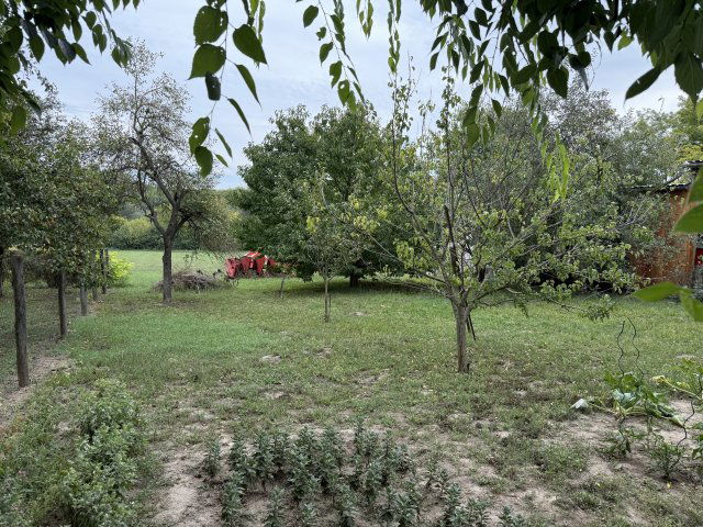 Eladó családi ház, Vértesacsán 49 M Ft, 3 szobás