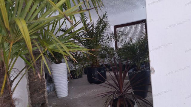 Eladó családi ház, Jászberényben 14.99 M Ft, 1+2 szobás