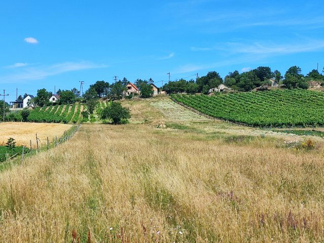 Eladó telek, Pécselyen 28 M Ft / költözzbe.hu