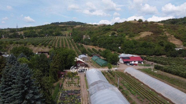 Eladó mezogazdasagi ingatlan, Putnokon 390 M Ft