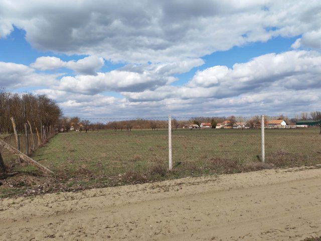 Eladó mezogazdasagi ingatlan, Csemőn 3.2 M Ft