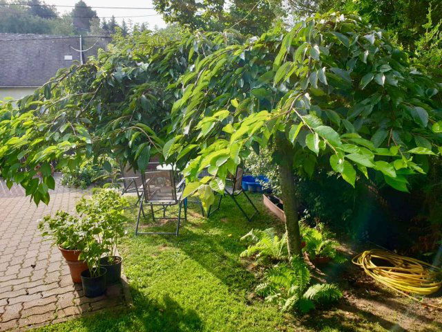 Eladó családi ház, Pilisjászfalun 119.9 M Ft, 4 szobás