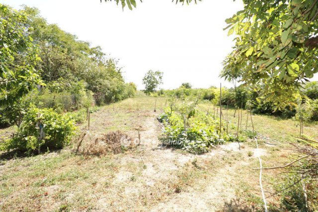 Eladó családi ház, Lóréven 34.9 M Ft, 3 szobás