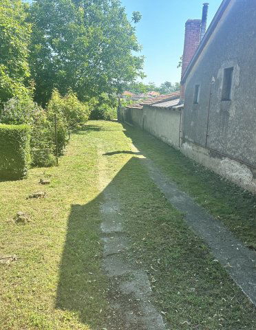 Eladó telek, Börcsön 15 M Ft / költözzbe.hu