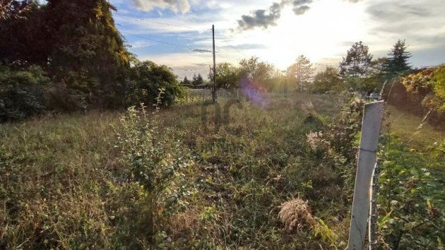 Eladó telek, Pátyon 13 M Ft / költözzbe.hu