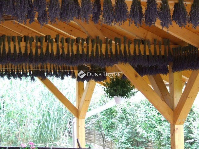 Eladó üzlethelyiség, Csongrádon 135 M Ft, 6 szobás