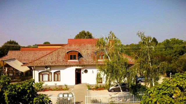 Eladó üzlethelyiség, Domaszéken 390 M Ft, 20 szobás