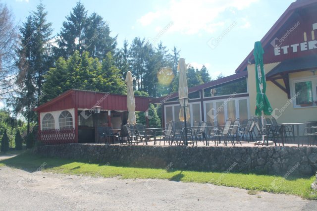 Eladó üzlethelyiség, Őriszentpéteren 350 M Ft