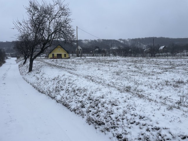Eladó mezogazdasagi ingatlan, Várpalotán 15.8 M Ft