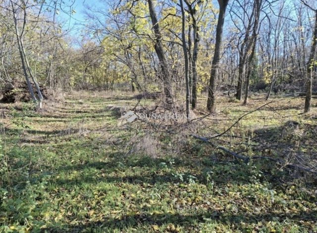 Eladó telek, Budapesten, XVII. kerületben 40 M Ft