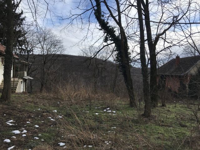 Eladó telek, Zalaegerszegen 1.5 M Ft / költözzbe.hu