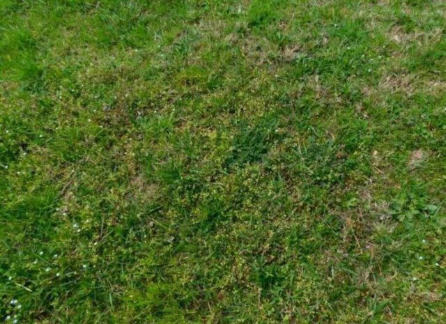 Eladó mezogazdasagi ingatlan, Ságváron 3.9 M Ft