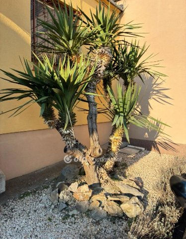 Eladó családi ház, Pécsett 79 M Ft, 2+1 szobás