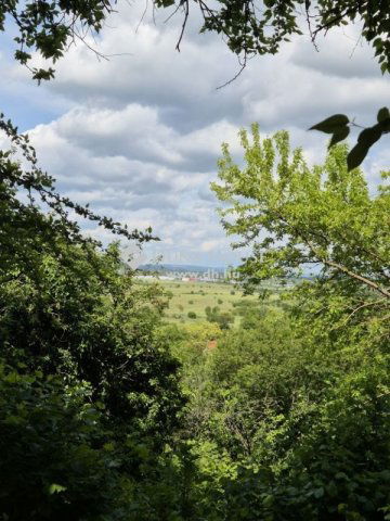 Eladó telek, Budakalászon 90 M Ft / költözzbe.hu