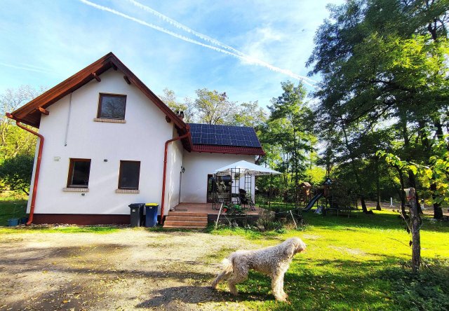 Eladó családi ház, Monorierdőn 150 M Ft, 4+1 szobás