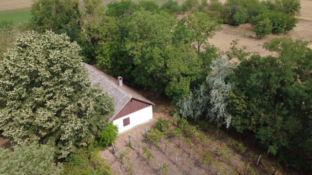 Eladó családi ház, Kecskeméten 29.8 M Ft, 1 szobás