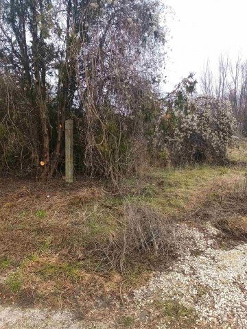 Eladó telek, Sárkeresztesen 16 M Ft / költözzbe.hu