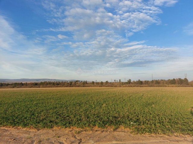 Eladó ipari ingatlan, Veszprémben 613.47 M Ft
